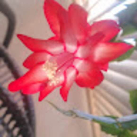 Meet the Posher Other - Meet your Posher, D